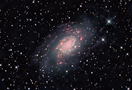 NGC2403